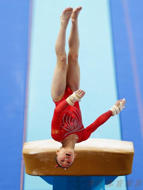 开云体育官网：体操女子跳马决赛